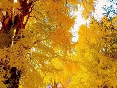 -青州市云门山风景区