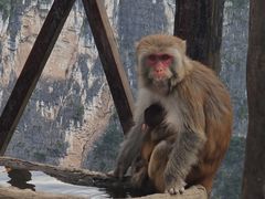 -重庆云阳龙缸景区