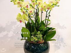 -F.Story 花和故事(新天地店)