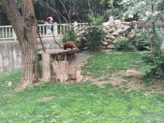 -西安秦岭野生动物园