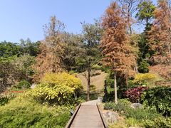 -云溪植物园