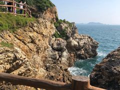 -杨梅坑