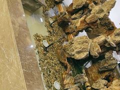 -便宜坊烤鸭店(科创店)