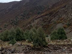 -扁都口生态休闲旅游区