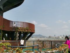 -芒洲湿地公园