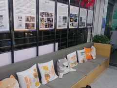 -pd派德宠物中心医院24H急重症·眼科中心·血液透析中心(嵩山北路店)