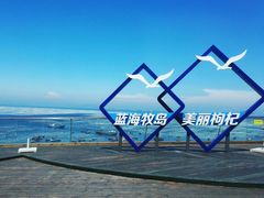 -枸杞岛