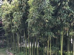 -全季酒店（苏州观前街平江路店）(原临顿路地铁站店)
