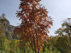 -长白山聚龙火山温泉