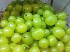-康悦印象·美容·茶艺·国际芳香疗法(海悦店)