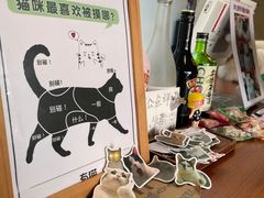 -有猫主题·治愈系猫咖(曾厝垵店)