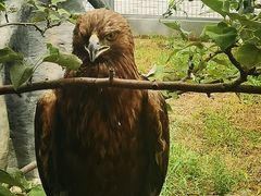 -龙口动植物园