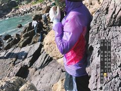 -西涌国际滨海旅游区