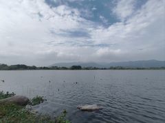 -长田漾湿地公园