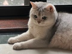 -宠颐生宠物医院外科·内科·皮肤科·影像科(石龙店)