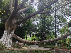 -成都市活水公园