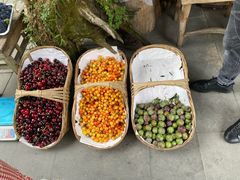 -青城甲(青城山店)