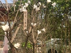 -花溪雨·森林餐厅(石基店)
