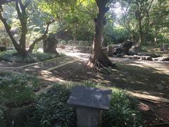 -海口火山口国家地质公园