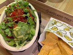 -油梨树AVOCADO TREE(嘉里中心店)