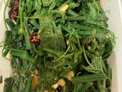 木姜子油丝瓜尖-川正旺江湖菜(三元桥店)