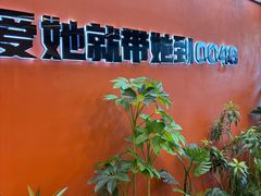 -0048鲜活香辣虾·火锅(铜陵路店)