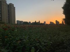 -杭州乐园