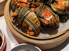 -杨氏青龙虾·羊蝎子(托乐嘉店)