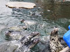 -华夏文旅海洋公园