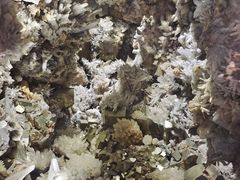 -湖南省地质博物馆