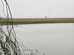 -野鸭湖国家湿地公园