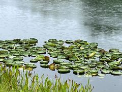 -眉山湿地公园(东坡区)