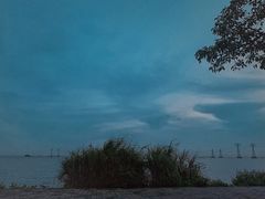 -宝安西湾红树林湿地公园