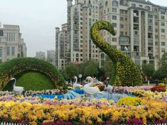 -南昌之星摩天轮