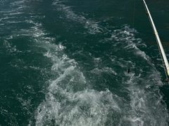 -小猫钓鱼海钓俱乐部(椰梦长廊店)