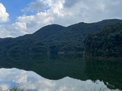 -广州市石门国家森林公园