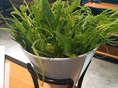 -东椰·海南椰子鸡火锅(朝阳门店)