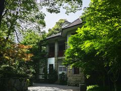 -南山植物园