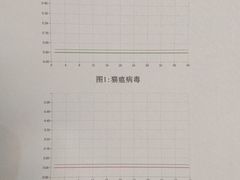 -瑞派雷欧宠物医院·24h夜诊·心脏骨科牙科·全科重症转诊中心(无影山店)