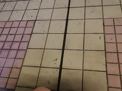 -海珠儿童公园