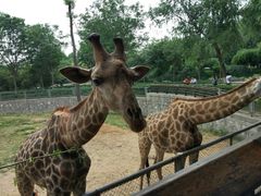 -石家庄市动物园