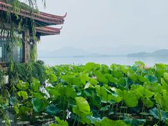 -湖畔居茶楼(湖滨店)