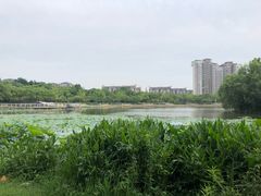 -新江湾城公园