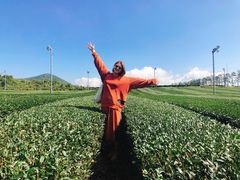 -雪绿茶博物馆