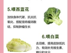 -博特宠物医院24h犬猫全科.骨科·异宠