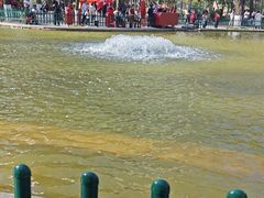 -西安市长乐公园