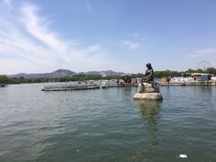 -石家庄市植物园