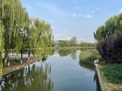 -大兴滨河森林公园