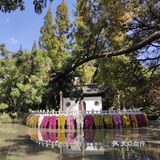 其他景点还有魁星阁、百鸟朝凤台等