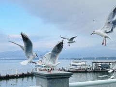 -海埂大坝